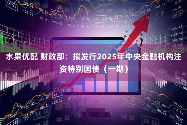 水果优配 财政部：拟发行2025年中央金融机构注资特别国债（一期）
