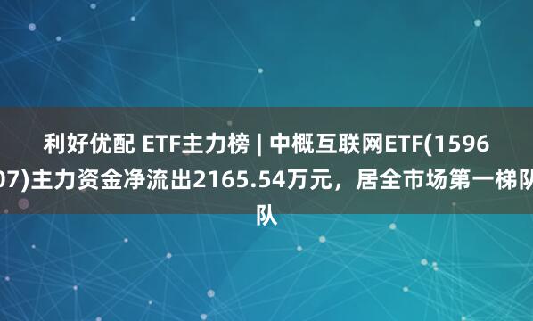 利好优配 ETF主力榜 | 中概互联网ETF(159607)主力资金净流出2165.54万元，居全市场第一梯队