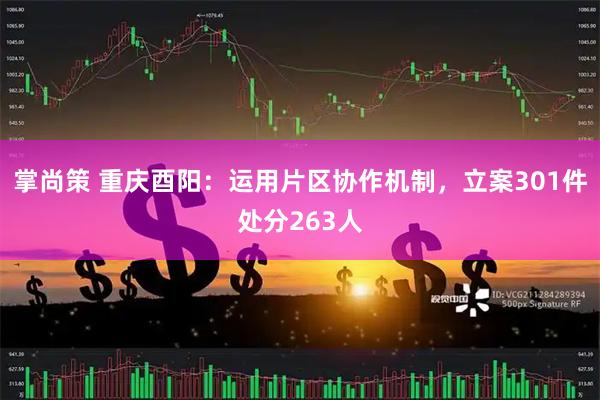 掌尚策 重庆酉阳：运用片区协作机制，立案301件处分263人
