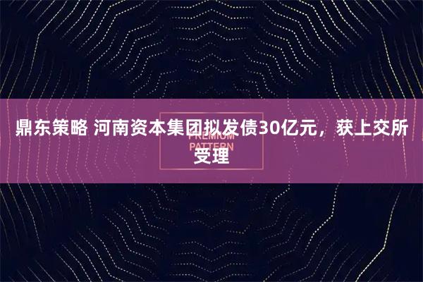 鼎东策略 河南资本集团拟发债30亿元，获上交所受理