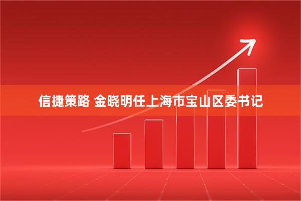 信捷策路 金晓明任上海市宝山区委书记